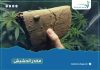 مخدر الحشيش وحقيقة صنعة من زيت الكافور مخدر الحشيش